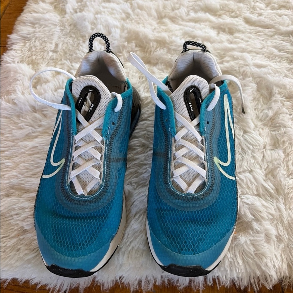 Nike air max 2090